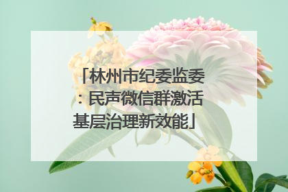 林州市纪委监委：民声微信群激活基层治理新效能