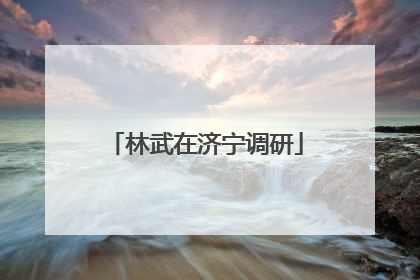 林武在济宁调研