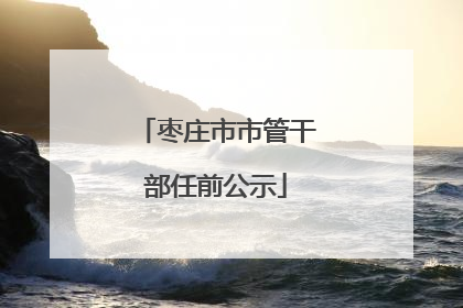 枣庄市市管干部任前公示