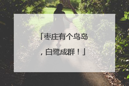 枣庄有个鸟岛，白鹭成群！