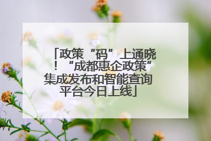 政策“码”上通晓！“成都惠企政策”集成发布和智能查询平台今日上线