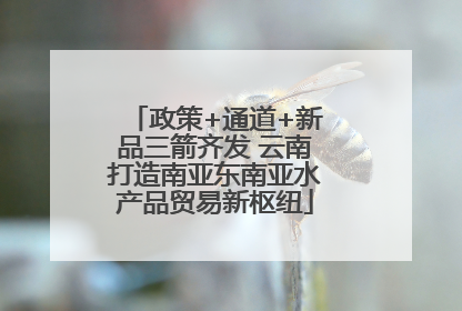 政策+通道+新品三箭齐发 云南打造南亚东南亚水产品贸易新枢纽