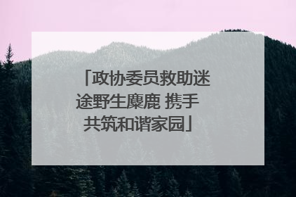 政协委员救助迷途野生麋鹿 携手共筑和谐家园