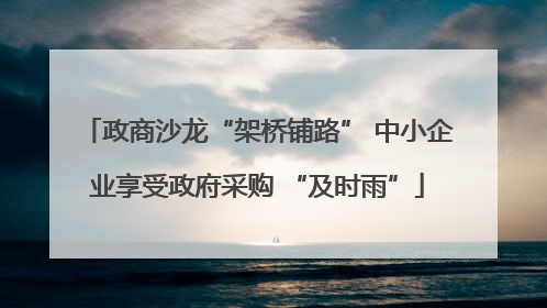 政商沙龙“架桥铺路” 中小企业享受政府采购 “及时雨”