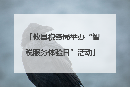 攸县税务局举办“智税服务体验日”活动