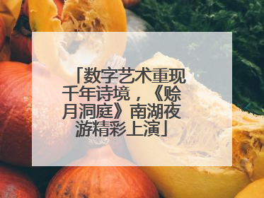 数字艺术重现千年诗境，《赊月洞庭》南湖夜游精彩上演