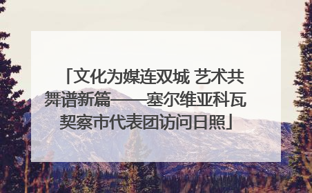 文化为媒连双城 艺术共舞谱新篇——塞尔维亚科瓦契察市代表团访问日照