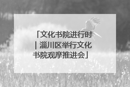 文化书院进行时｜淄川区举行文化书院观摩推进会