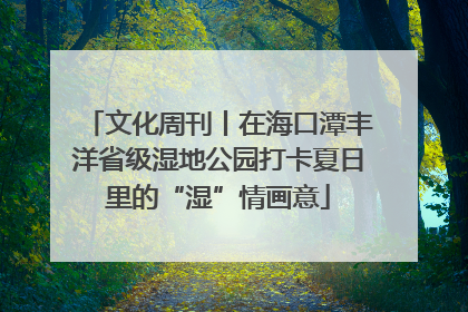 文化周刊丨在海口潭丰洋省级湿地公园打卡夏日里的“湿”情画意