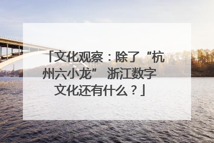 文化观察：除了“杭州六小龙” 浙江数字文化还有什么？