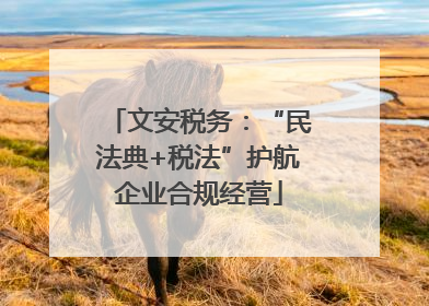 文安税务：“民法典+税法”护航企业合规经营