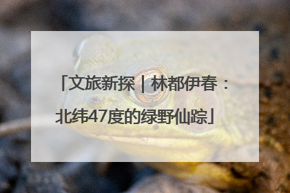 文旅新探｜林都伊春：北纬47度的绿野仙踪