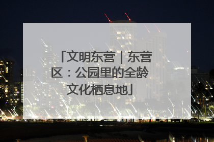 文明东营｜东营区：公园里的全龄文化栖息地