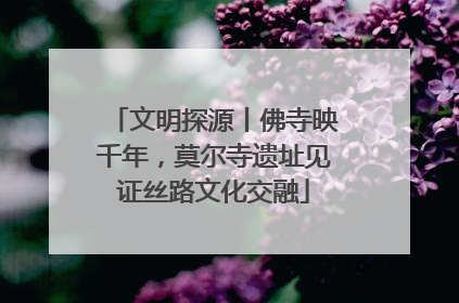 文明探源丨佛寺映千年，莫尔寺遗址见证丝路文化交融