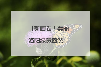 新画卷！美丽洛阳绿意盎然