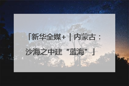 新华全媒+｜内蒙古：沙海之中建“蓝海”