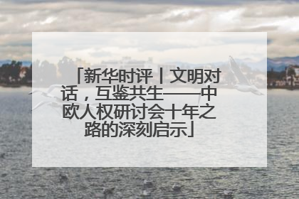 新华时评丨文明对话，互鉴共生——中欧人权研讨会十年之路的深刻启示