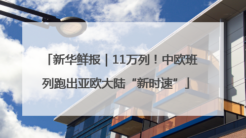 新华鲜报｜11万列！中欧班列跑出亚欧大陆“新时速”