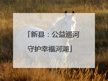 新县：公益巡河守护幸福河湖
