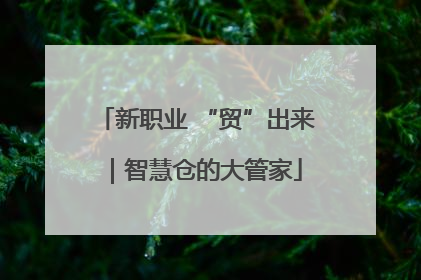 新职业 “贸”出来｜智慧仓的大管家