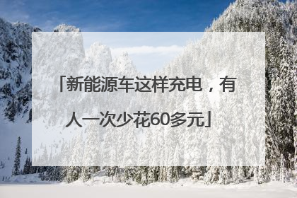 新能源车这样充电，有人一次少花60多元