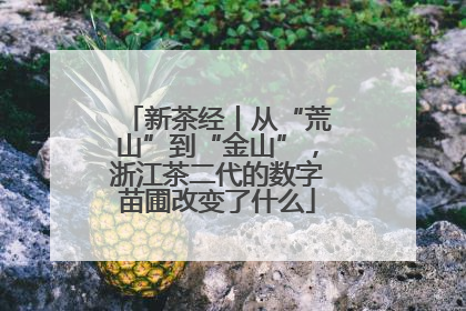 新茶经丨从“荒山”到“金山”，浙江茶二代的数字苗圃改变了什么