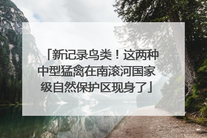 新记录鸟类！这两种中型猛禽在南滚河国家级自然保护区现身了
