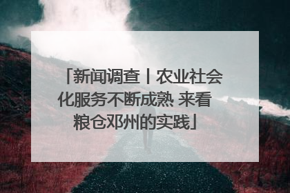 新闻调查丨农业社会化服务不断成熟 来看粮仓邓州的实践