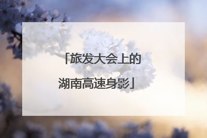 旅发大会上的湖南高速身影