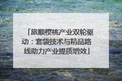 旅顺樱桃产业双轮驱动：套袋技术与精品路线助力产业提质增效
