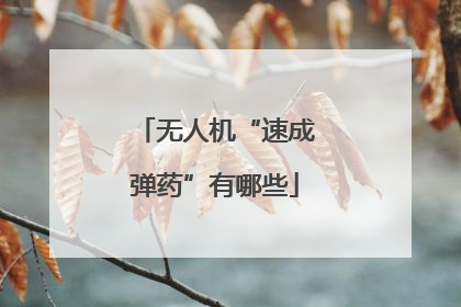 无人机“速成弹药”有哪些