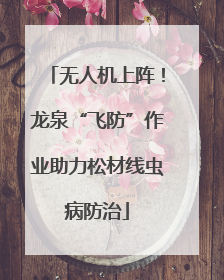无人机上阵！龙泉“飞防”作业助力松材线虫病防治