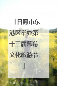 日照市东港区举办第十三届蓝莓文化旅游节