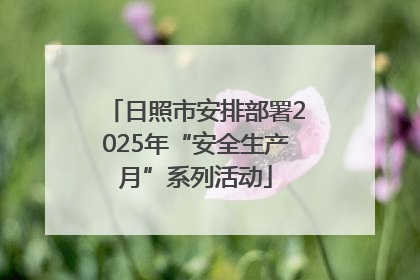日照市安排部署2025年“安全生产月”系列活动