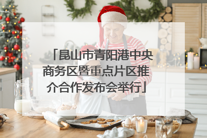 昆山市青阳港中央商务区暨重点片区推介合作发布会举行