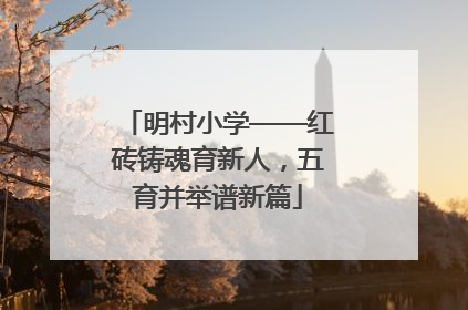 明村小学——红砖铸魂育新人，五育并举谱新篇