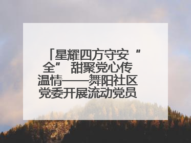 星耀四方守安“全” 甜聚党心传温情——舞阳社区党委开展流动党员建党节主题活动