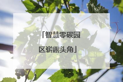 智慧零碳园区崭露头角