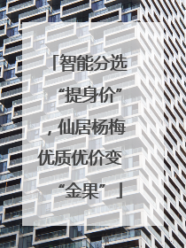 智能分选“提身价”，仙居杨梅优质优价变“金果”