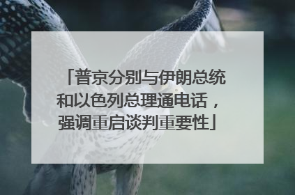 普京分别与伊朗总统和以色列总理通电话，强调重启谈判重要性