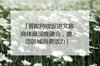 普陀持续促进文旅商体展深度融合，激活区域消费活力