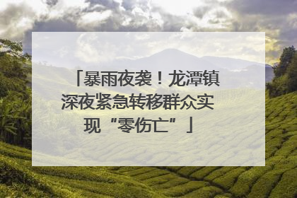 暴雨夜袭！龙潭镇深夜紧急转移群众实现“零伤亡”