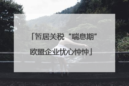 暂居关税“喘息期” 欧盟企业忧心忡忡