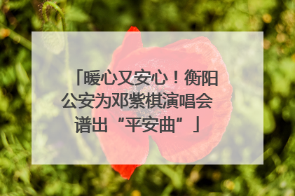暖心又安心！衡阳公安为邓紫棋演唱会谱出“平安曲”
