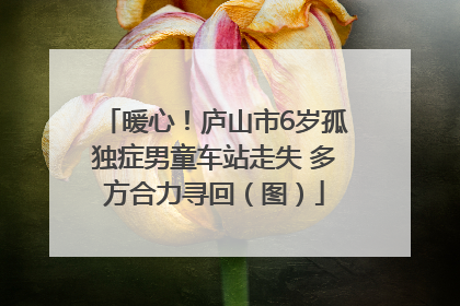 暖心！庐山市6岁孤独症男童车站走失 多方合力寻回（图）
