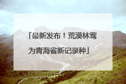 最新发布！荒漠林莺为青海省新记录种