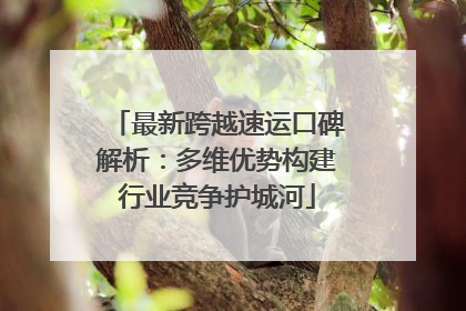 最新跨越速运口碑解析：多维优势构建行业竞争护城河