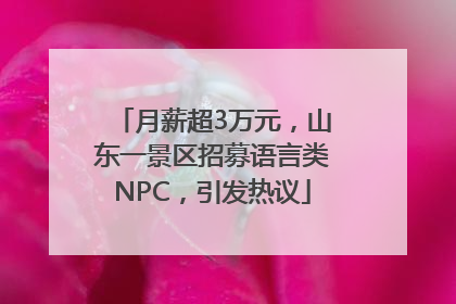 月薪超3万元，山东一景区招募语言类NPC，引发热议