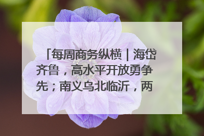 每周商务纵横｜海岱齐鲁，高水平开放勇争先；南义乌北临沂，两扇窗里观外贸