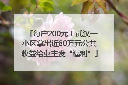 每户200元！武汉一小区拿出近80万元公共收益给业主发“福利”